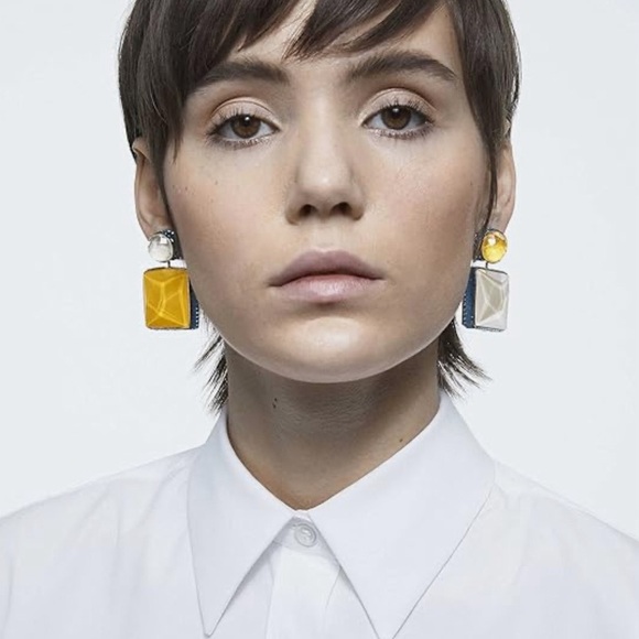 Swarovski Atelier
Swarovski Orbita Octagon Cut Clip Earrings - Picture 2 of 6